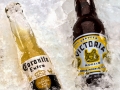 Pixart_2014_0127_0036_0024-4.jpg