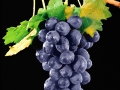 Pixart_2014_0127_0043_0001.jpg