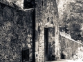 Pixart_130520_Desierto-de-los-Leones_0074.jpg