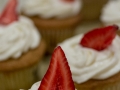 Pixart_CDI_150815_0544.jpg