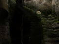 Pixart_130527_Desierto-de-los-Leones_0113.jpg