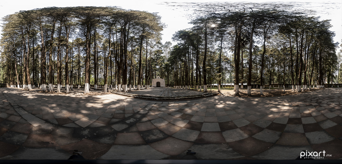 Pixart_Pixart_Desierto_de_los_Leones_gigapixeles_130520_01_pq.jpg