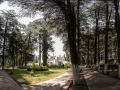 Pixart_Pixart_Desierto_de_los_Leones_gigapixeles_130520_02_pq.jpg