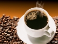 Commercial Food & Beverage Photography