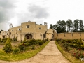 Pixart_Desierto-leones-05.jpg