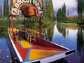 Pixart_60X1_XOCHIMILCO.jpg