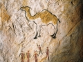 Pixart_camel_caveVERT.jpg