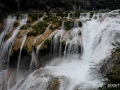 Pixart_2010_0102_0009_0009.jpg
