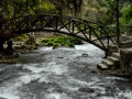 Pixart_2010_0102_0091_0008.jpg