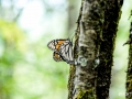 Pixart_2012_0122_0012_0034.jpg