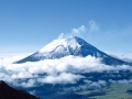 Pixart_2014_0127_0045_0019.jpg