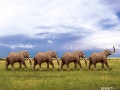 Pixart_2014_0127_0080.jpg