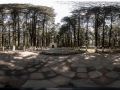 Pixart_Pixart_Desierto_de_los_Leones_gigapixeles_130520_01_pq.jpg