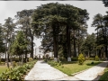 Pixart_Pixart_Desierto_de_los_Leones_gigapixeles_130520_03_pq.jpg