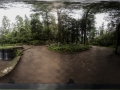 Pixart_Pixart_Desierto_de_los_Leones_gigapixeles_130624_17_pq.jpg