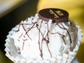 Pixart_Vitalis_Yavne_170112_0082.jpg