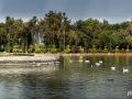Pixart_Parque-esculturas-01.jpg